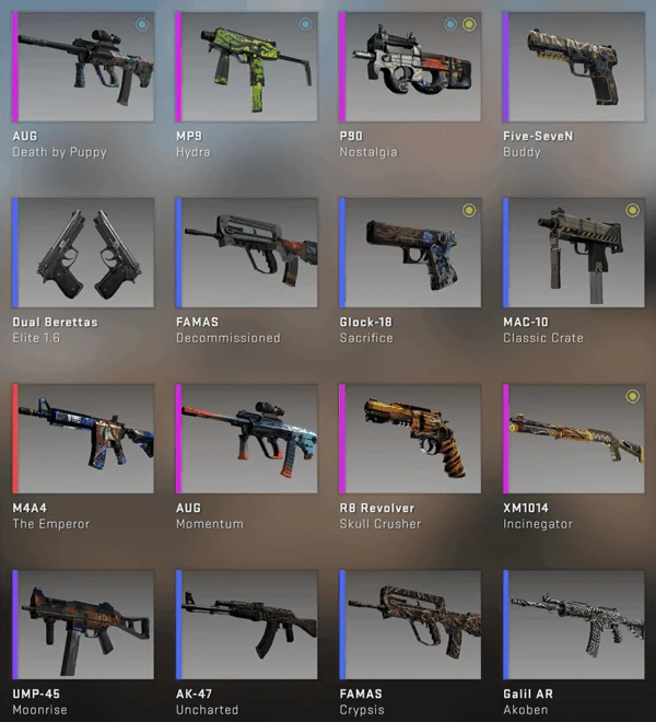 Skin inventory in CS: GO