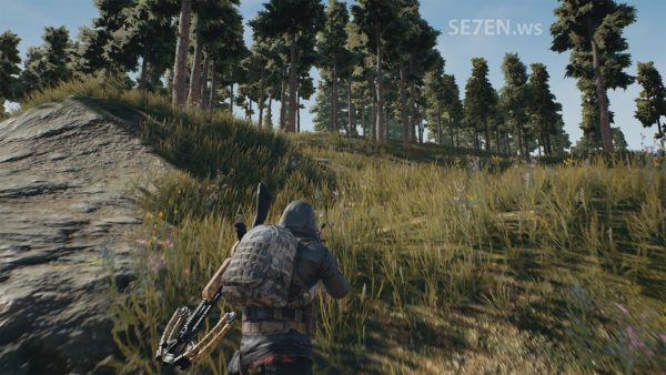 Стелс в PUBG