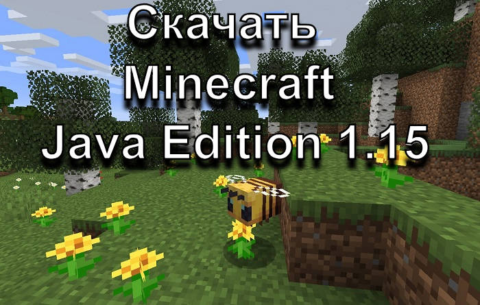 download minecraft 1.15 java edition