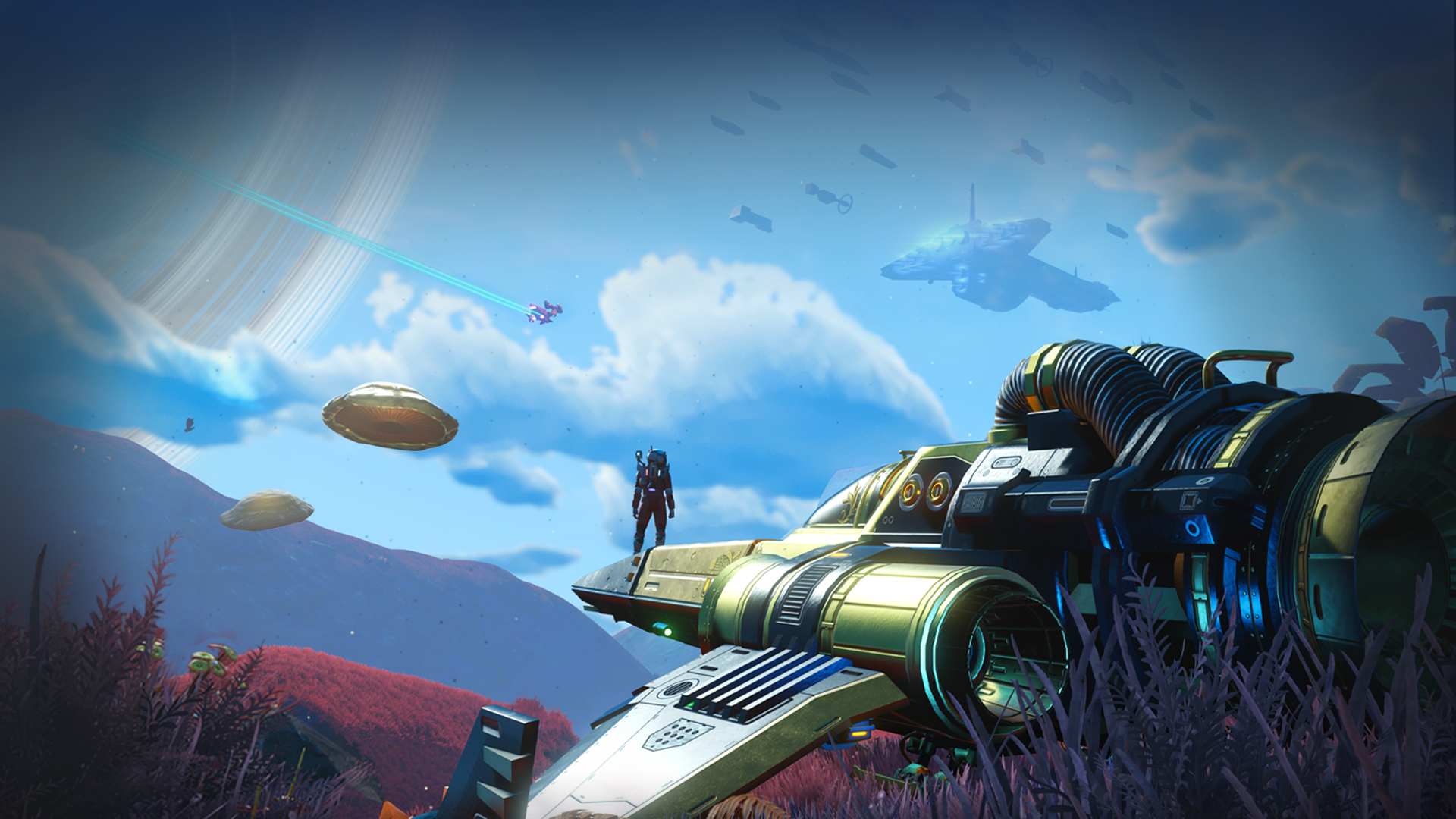 NMS - Screen Expeditions