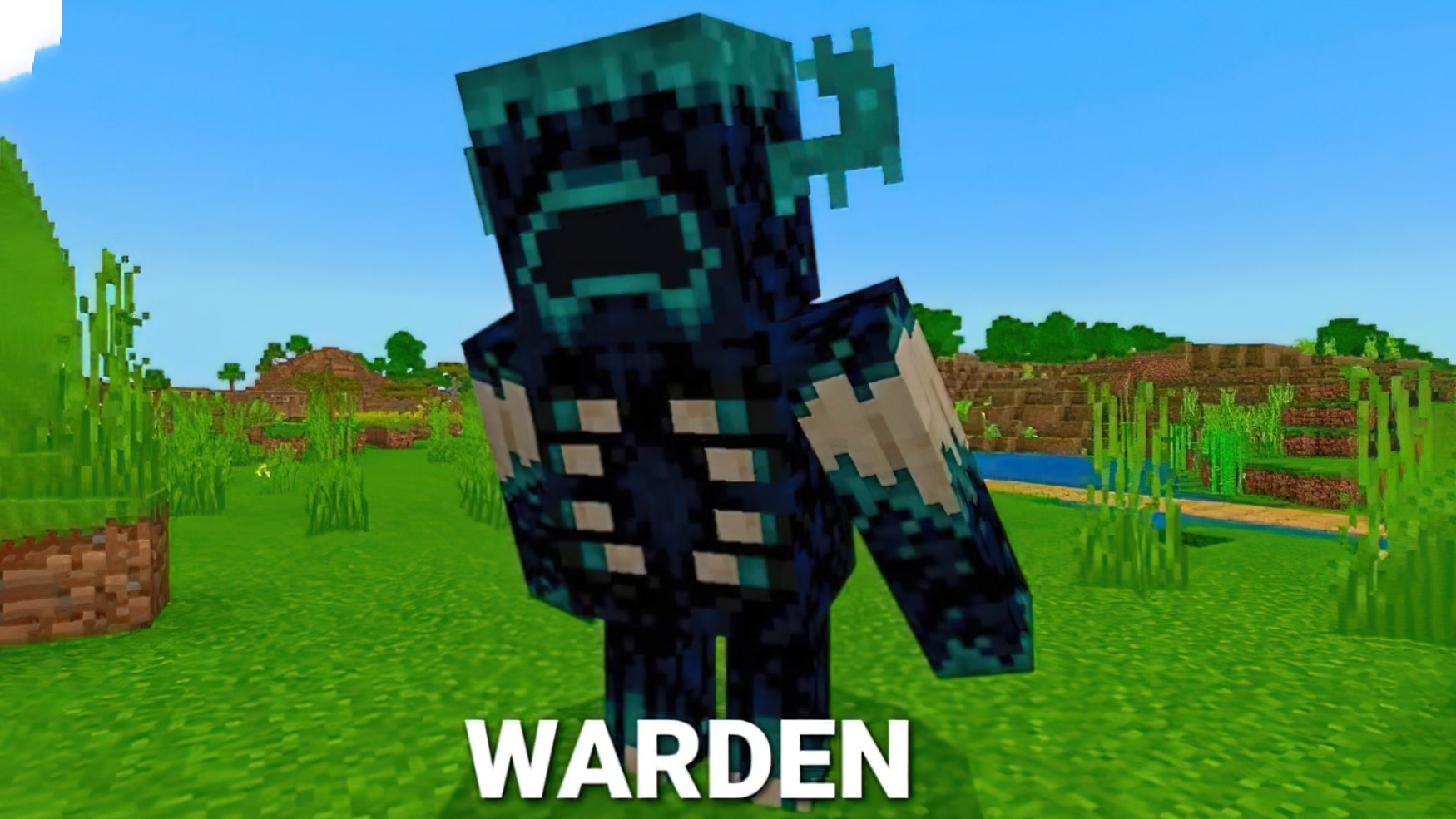 Warden