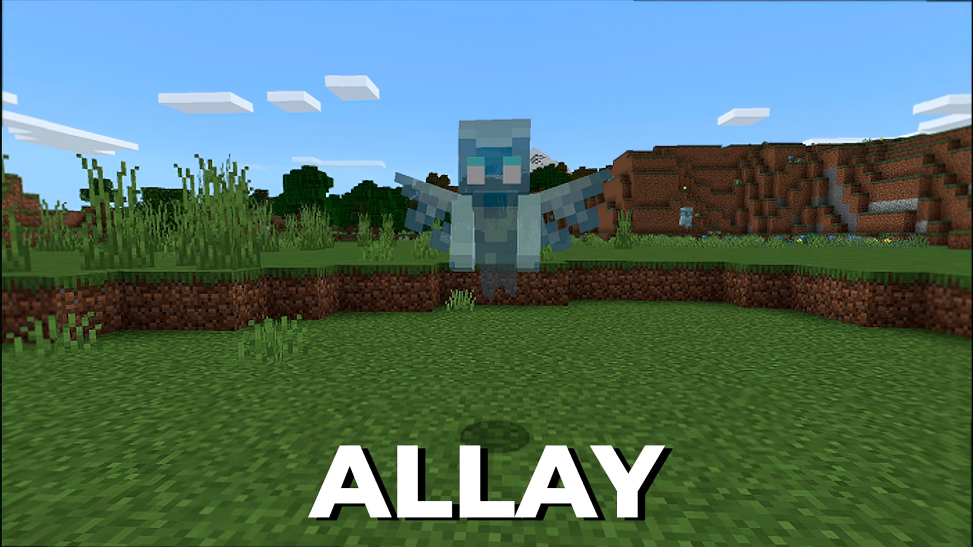Allay