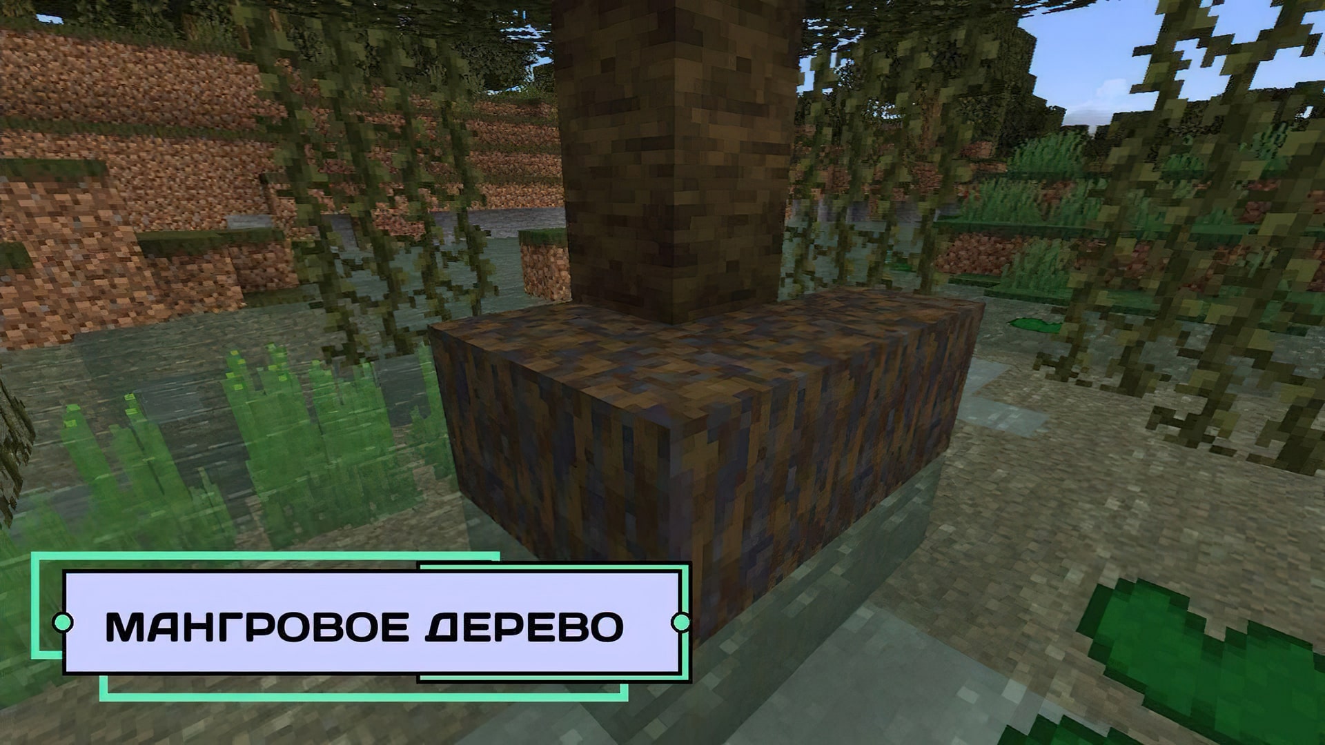 Мангровый дерево в Minecraft