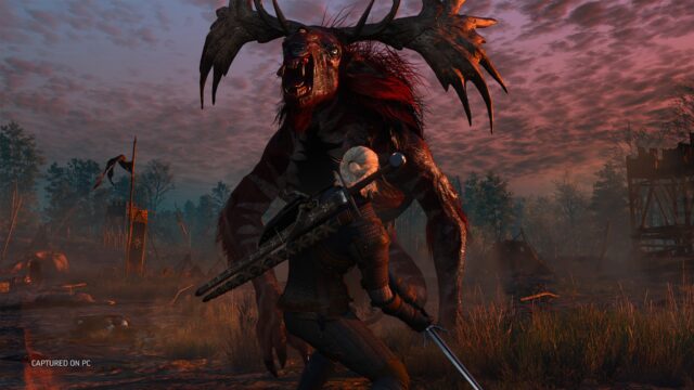 The Witcher 3: Wild Hunt - Screenshot 3
