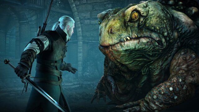 The Witcher 3: Wild Hunt - Screenshot 17