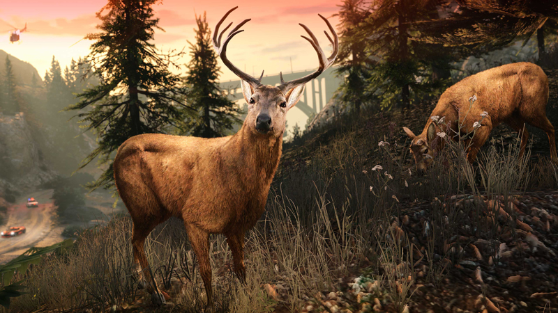 Олени — лишь один из 30 видов животных, с которыми встречаются игроки.