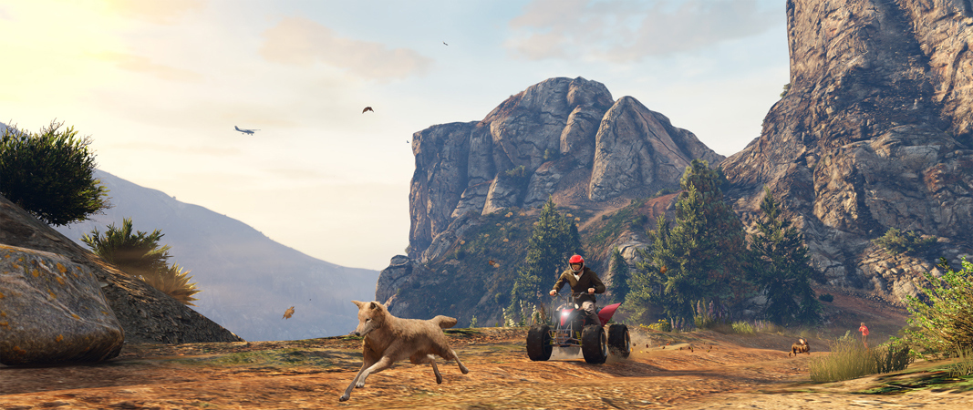 Встреча с животными в свободном режиме в GTA Online