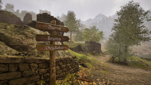 TES IV Oblivion Remastered - Скриншот 7