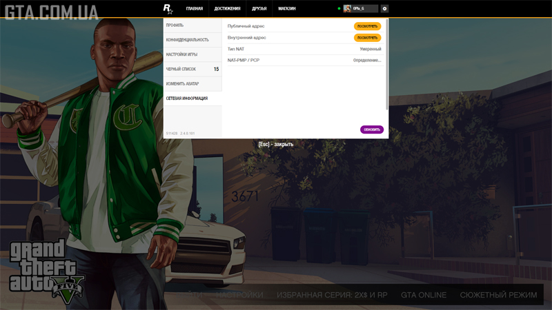 Как выглядят скрытые IP-адреса в оверлее.