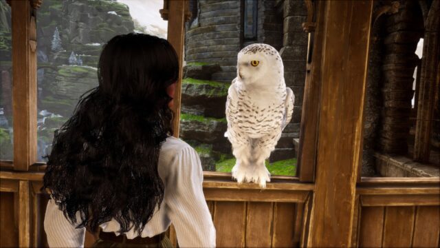 Hogwarts Legacy - Screenshot 7