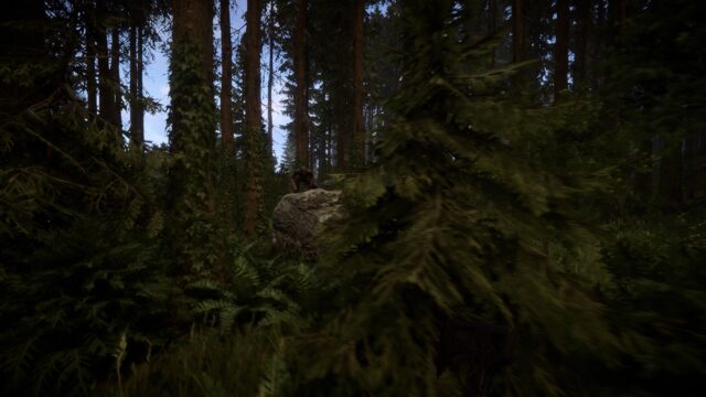 Sons Of The Forest - Screenshot 9