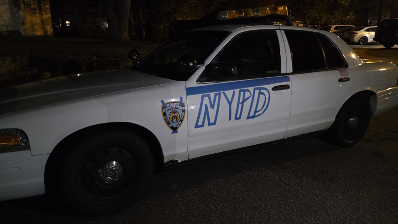 Vapid Police Cruiser из GTA IV — фото 15