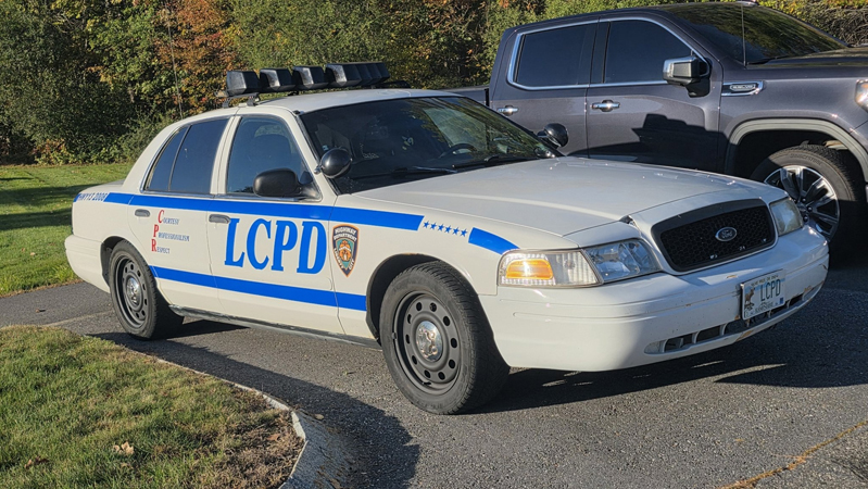 Vapid Police Cruiser из GTA IV — фото 24