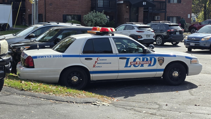 Vapid Police Cruiser из GTA IV — фото 27