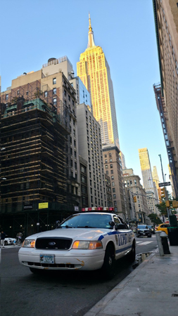 Vapid Police Cruiser из GTA IV — фото 37