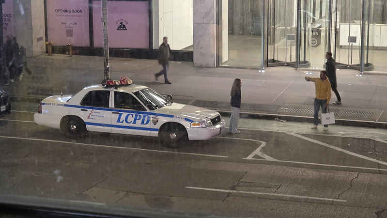 Vapid Police Cruiser из GTA IV — фото 38