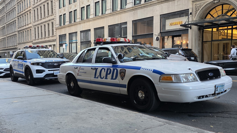 Vapid Police Cruiser из GTA IV — фото 40