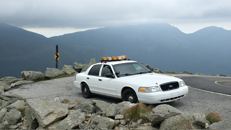 Vapid Police Cruiser из GTA IV — фото 9