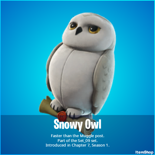 Drove Ray Back Bling