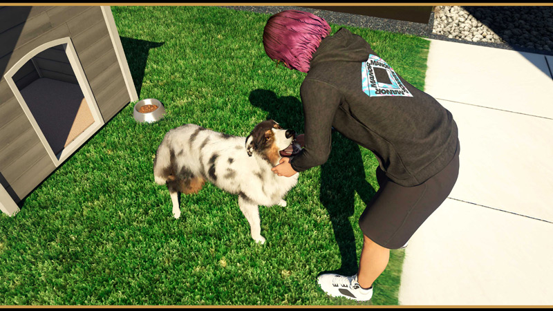 Породы собак