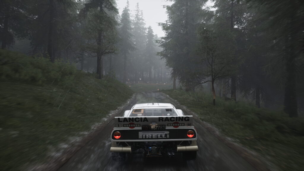 Assetto Corsa Rally - Screenshot 11