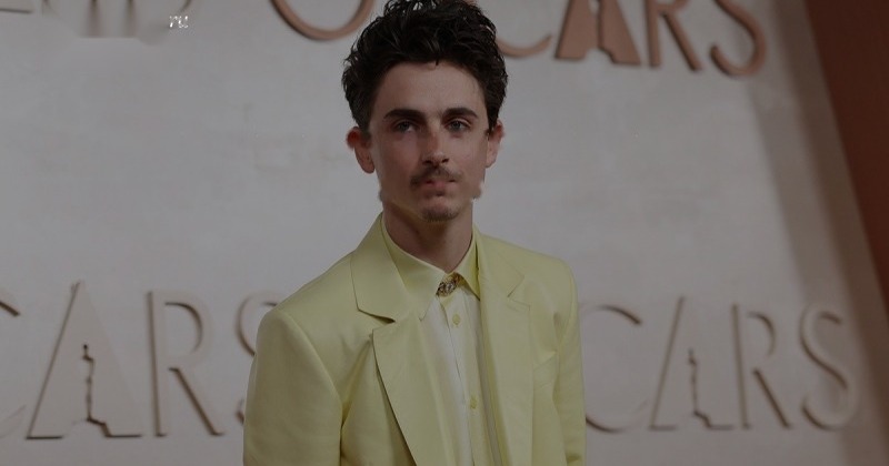 Тимоти Шаламе представит драму о жизни выдуманного миллионера Тимоти Шаламе представит драму о жизни выдуманного миллионера