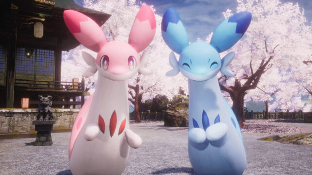 Pink and blue Pals beneath blooming cherry trees