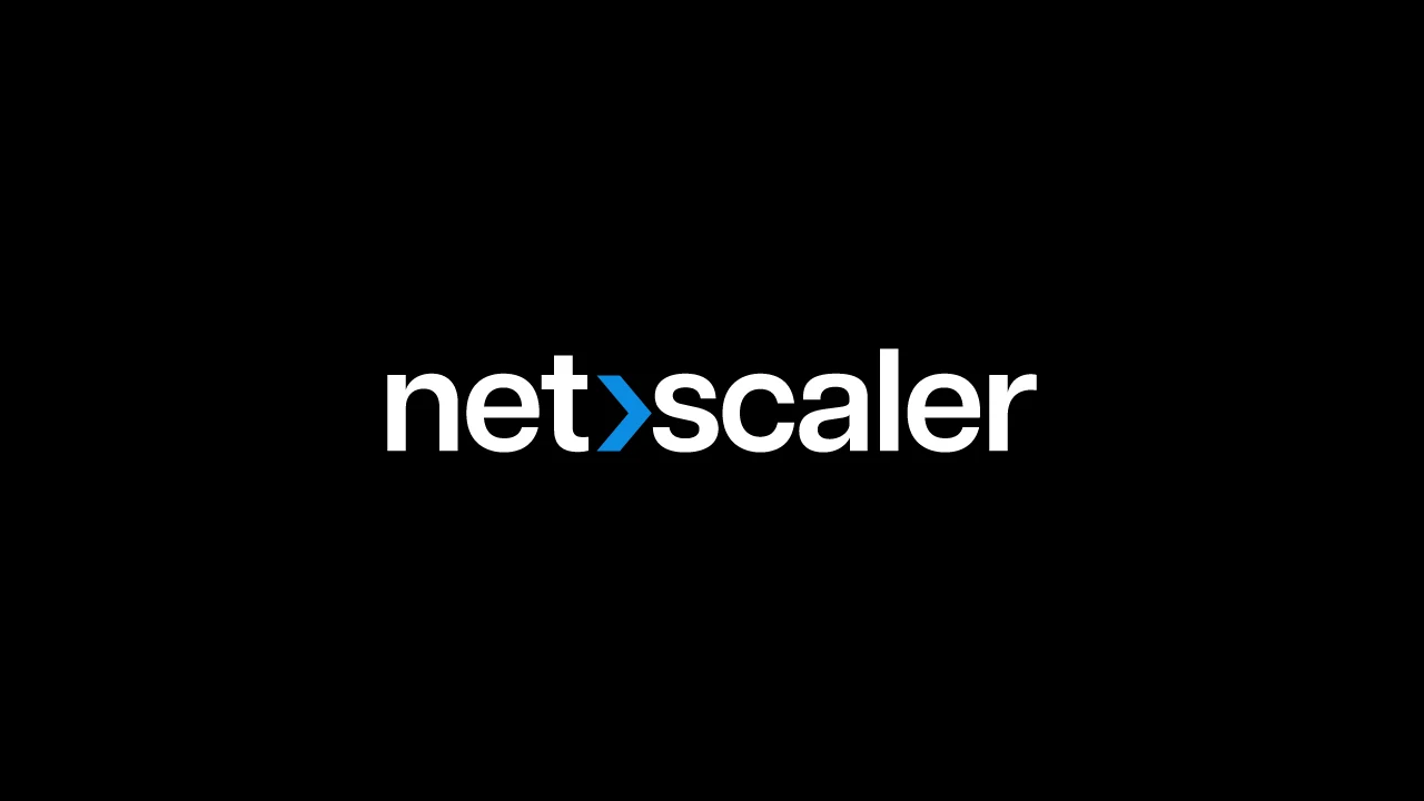 NetScaler. Логотип с официального сайта производителя: https://www.netscaler.com/