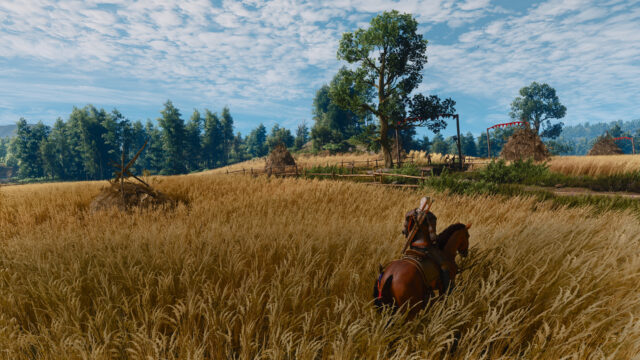 The Witcher 3 Remastered - Скриншот 11