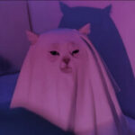 BeamNG.drive — ☽⭑GATITO⭑☾