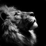 Counter-Strike 1.6 #5